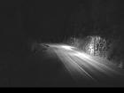 Webcam Image: Hells Gate - N